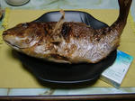 DSCF3534.jpg