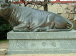 DSCF3541.jpg