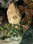 DSCF3580.jpg