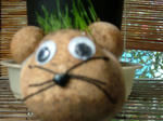 DSCF3657.jpg