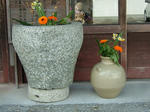 DSCF3669.jpg