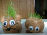 DSCF3693.jpg