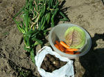 DSCF3697.jpg