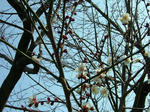 DSCF3701.jpg