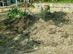 DSCF3702.jpg