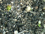 DSCF3704.jpg