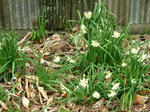 DSCF3706.jpg