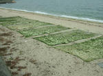 DSCF3712.jpg