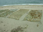 DSCF3714.jpg