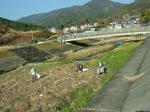 DSCF3717.jpg
