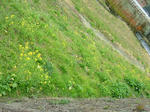 DSCF3728.jpg