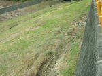 DSCF3735.jpg