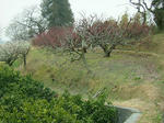 DSCF3743.jpg