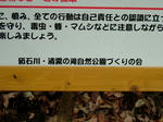 DSCF3753.jpg