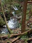 DSCF3754.jpg