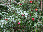 DSCF3762.jpg