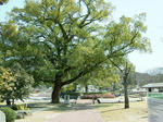 DSCF3773.jpg