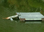 DSCF3776.jpg