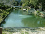 DSCF3777.jpg