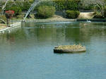 DSCF3778.jpg