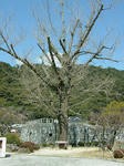 DSCF3786.jpg