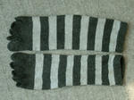 DSCF3795.jpg