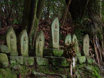 DSCF3797.jpg