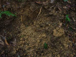DSCF3798.jpg