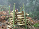 DSCF3799.jpg