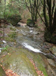 DSCF3802.jpg