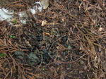DSCF3804.jpg