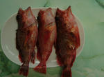 DSCF3807.jpg