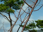 DSCF3820.jpg