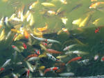 DSCF3867.jpg