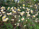 DSCF3883.jpg