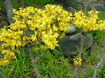 DSCF3886.jpg