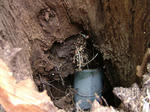 DSCF3897.jpg