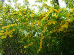 DSCF3909.jpg