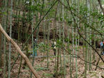 DSCF3911.jpg