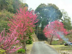 DSCF3912.jpg