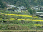 DSCF3913.jpg