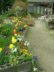 DSCF3920.jpg