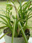 DSCF3921.jpg