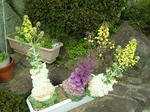 DSCF3922.jpg