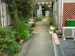 DSCF3945.jpg