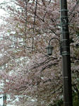 DSCF3947.jpg