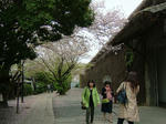 DSCF3953.jpg