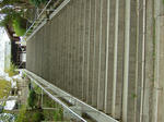 DSCF3961.jpg