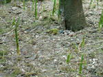 DSCF4009.jpg