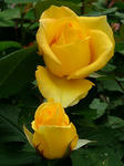 DSCF4033.jpg